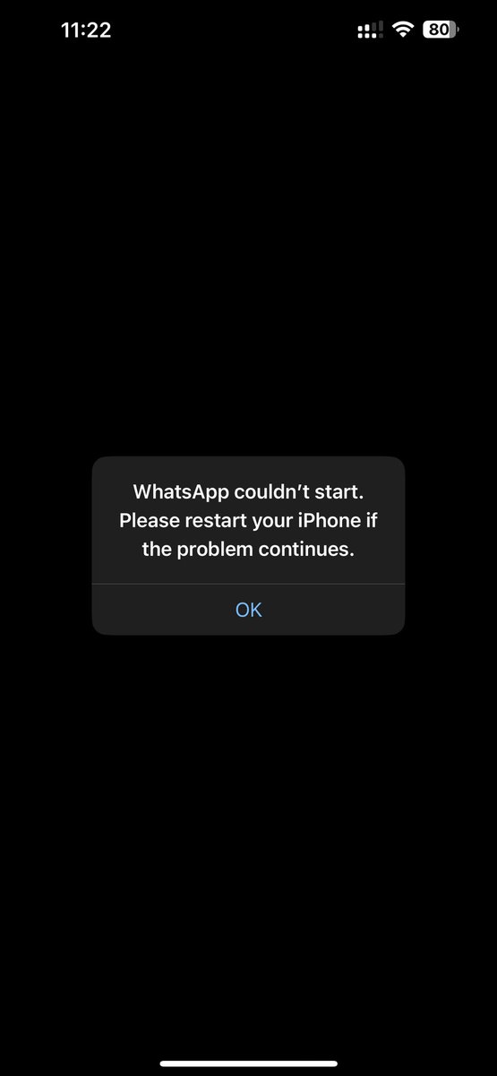 paniketd's tweet photo. Cant see Any third Party Application on my  13 pro max …. Also Whatsapp not working. @AppleSupport https://t.co/YOFeUqWkYz