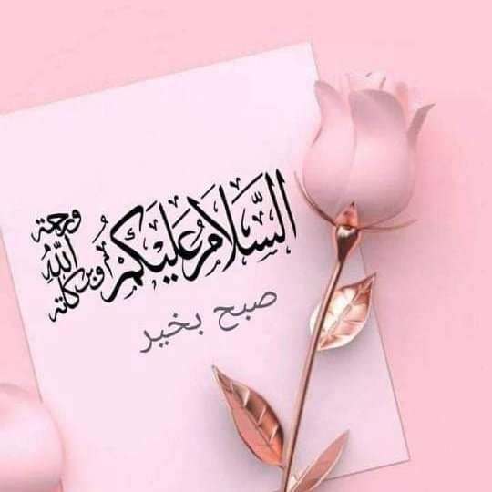 MshahidAnsari18's tweet image. #NewProfilePic