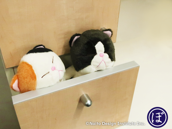 bou__cat's tweet photo. いいすきまを見つけたみたい！
＃ぼうみたいなねこ ＃猫 ＃ぬいぐるみ ＃すきま https://t.co/twtq98Bx7l