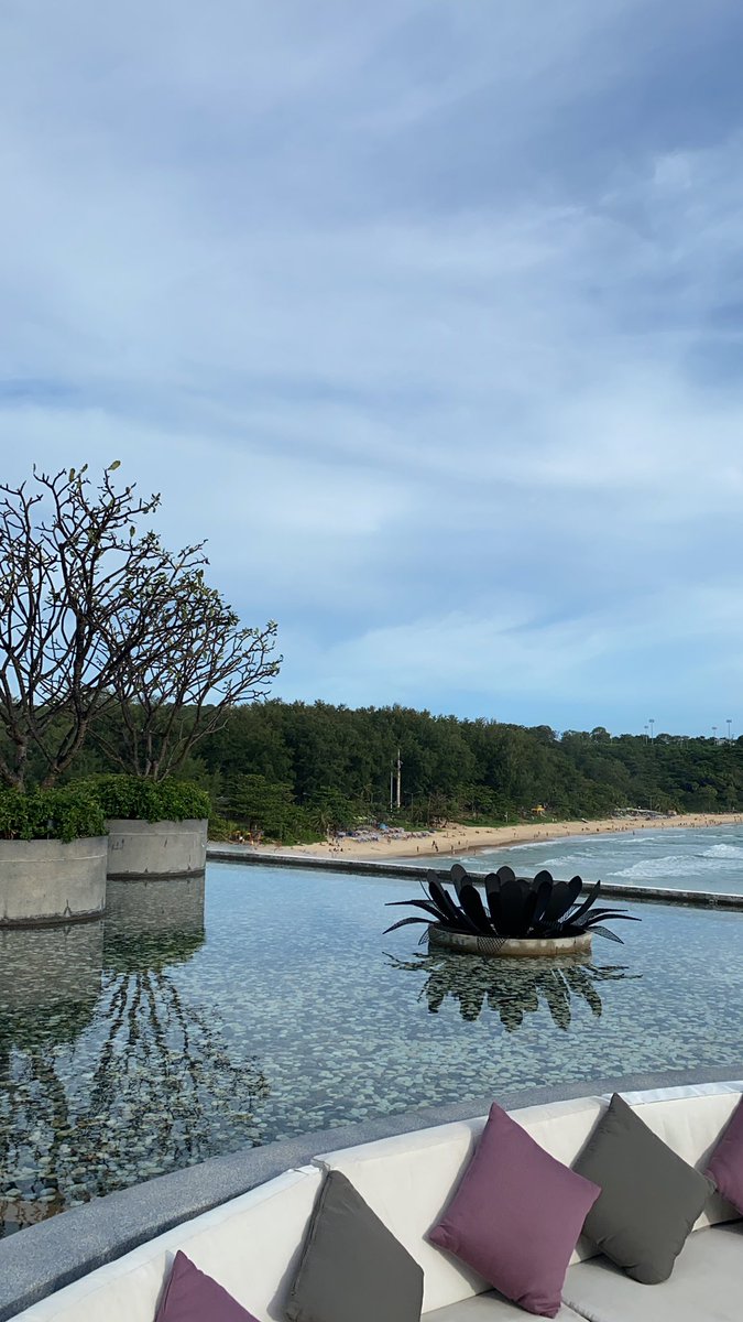 Almira (@all__miracle) on Twitter photo 