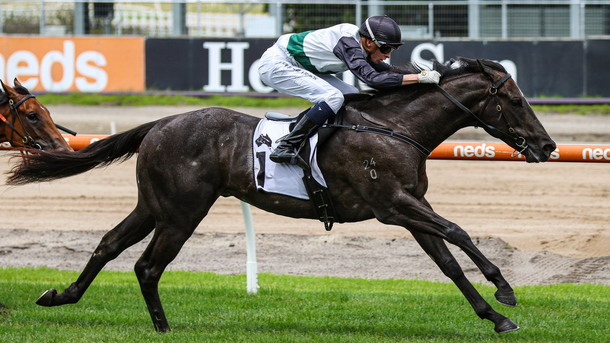 Melbourne Racing Club tweet media