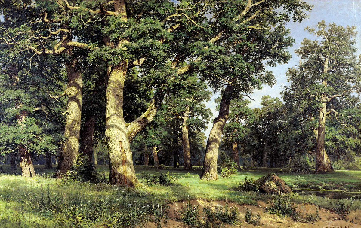 Ivan Shishkin tweet media