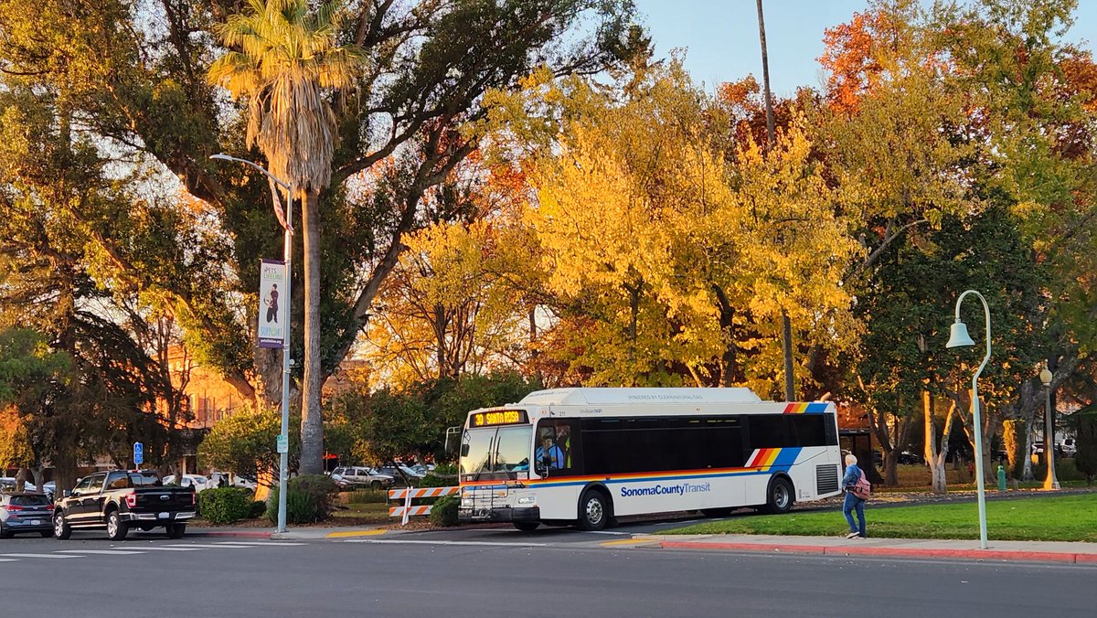 Having taken on a few passengers, a Sonoma County Transit bus moves under fall colors to cross Napa St, on the "#30 (Santa Rosa / Sonoma Valley)" line.