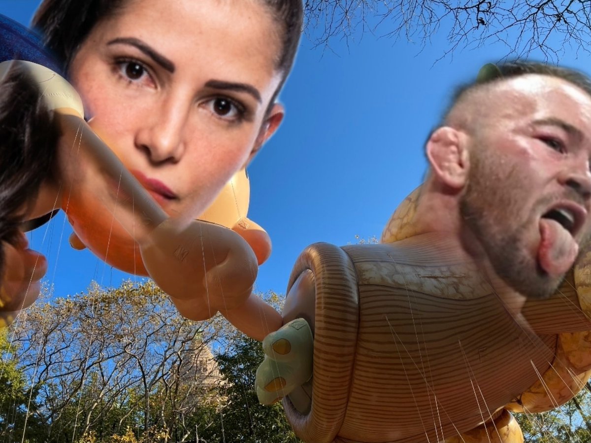 Axetrax's tweet photo. #colbycovington #howmanyfingers #MMATwitter #mma #ufc #ufcmemes #mmamemes #memearmy https://t.co/3CINO1SRZN