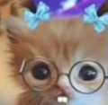 🌻harmony🌻 (@harmonybear64) on Twitter photo 