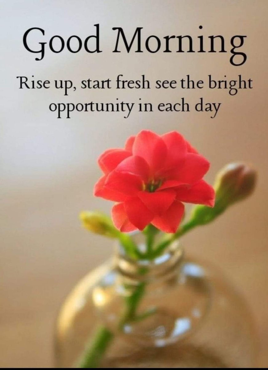 <a href="/AnupmaMichael/">Anupma‏انوپما</a> 
<a href="/Sunita_Says_/">Sunita Chadha</a> 
<a href="/rmburra24/">Raji M Burra.</a> 
<a href="/Richa89371445/">Richa</a> 
Good morning.....