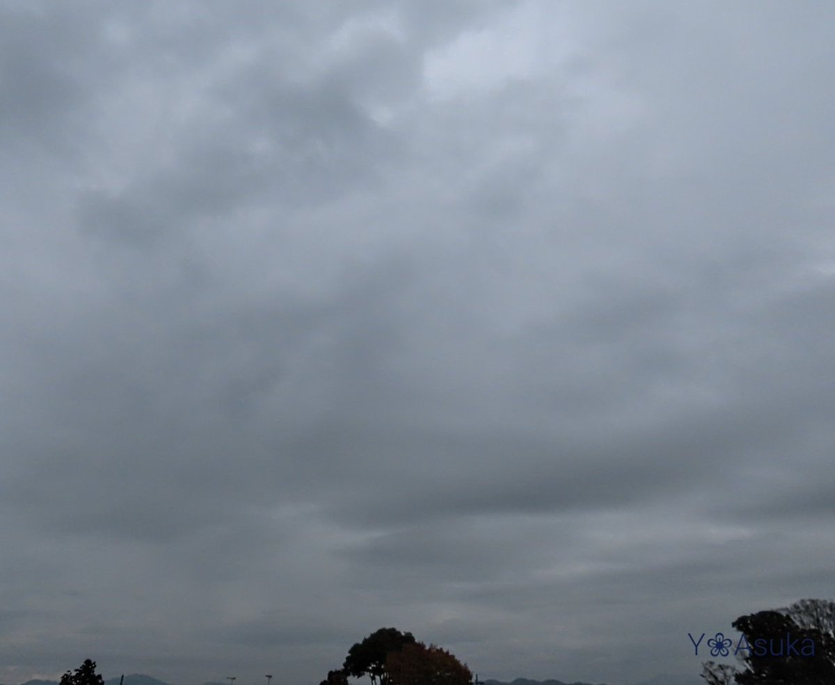yumeasutw's tweet photo. どんよりグレーの雲が広がり雨が降り出した土曜日の朝🌧️
#電線 に仲良く佇む #スズメ と #ムクドリ のトリオ達🐦️🐦️🐦️

予想最高/最低気温🌡️14℃/8℃
曇り一時雨☁️|☔
午後は段々雨が上がり夜は星空が広がりそうです。

#雀
#椋鳥
#野鳥 #bird #近所鳥
#空の名前 #雨の日
#a2022 #a1126 #a202211 https://t.co/SBzw3p0eRG