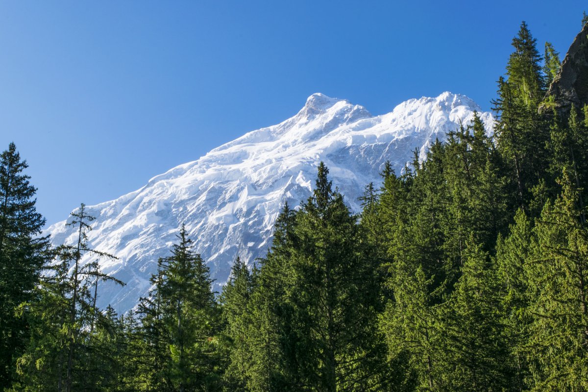 PakistanHighlan's tweet photo. From gigantic snowy peaks to the frozen high altitude lakes and lush summer pastures to the crystal clear blue waters, every view is a bliss! "Welcome to Pakistan"
#Pakistan #NaturePhotography #NatureBeauty #Travel https://t.co/RR6fHZPaWH