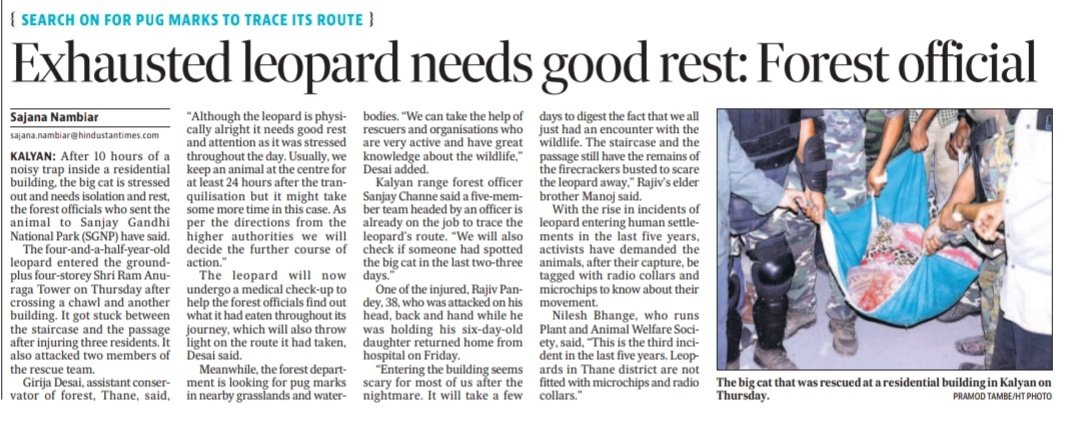 Sajana Nambiar tweet media