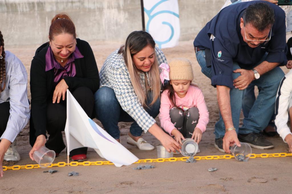 DIFMazatlan's tweet photo. Más de un centenar de crías de tortugas golfina fueron liberadas en un acto de amor a la vida, por parte de Acuario Mazatlán, DIF Mazatlán y alumnos de la Primaria  “Vasco de Quiroga”, en playas de la avenida Del Mar. https://t.co/5TcIcMXU0Z