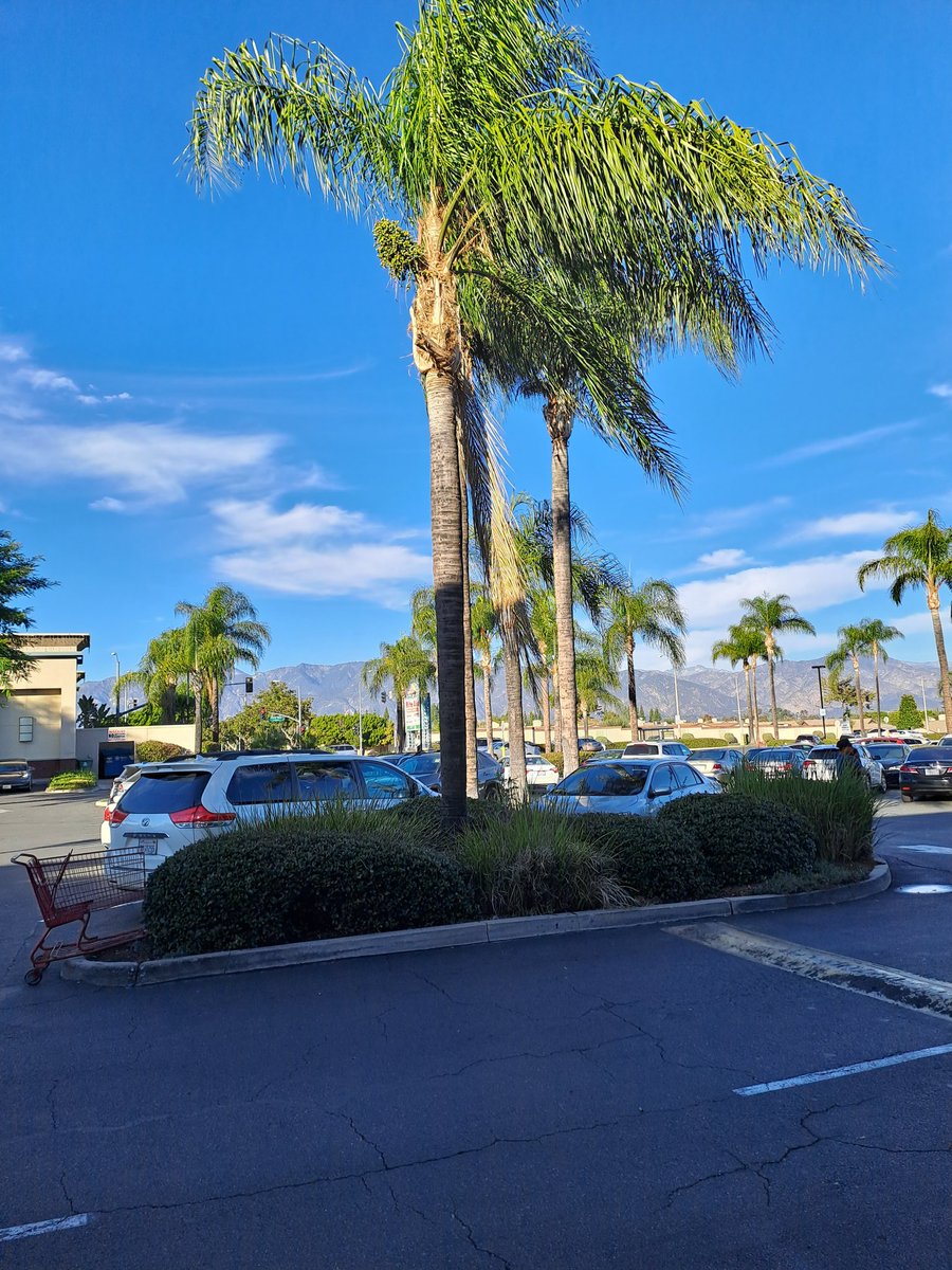 墙国难民 tweet media