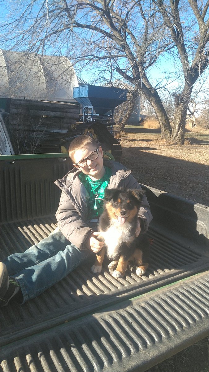 HoraSeed's tweet photo. Looking for a name for our new puppy https://t.co/AM5RY6LZxY