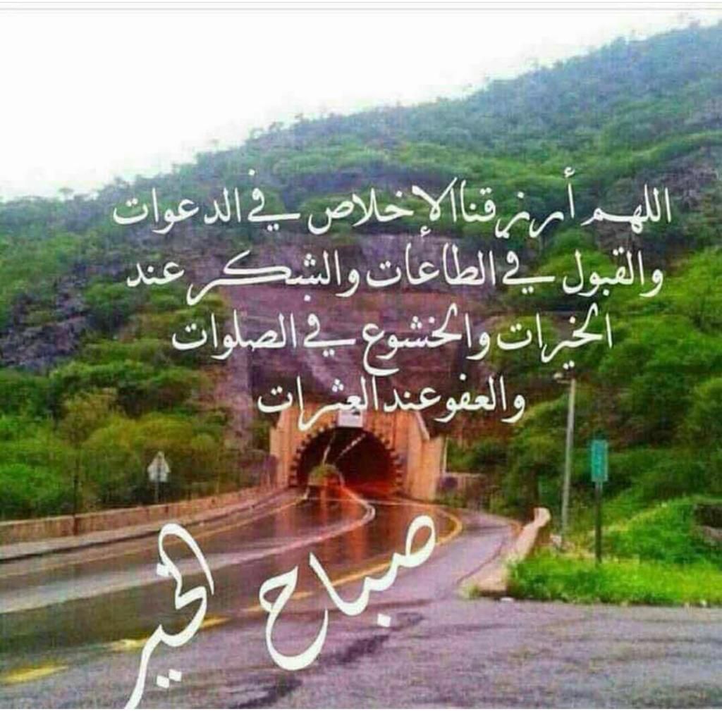 شبكة الزبير الرسمية tweet media