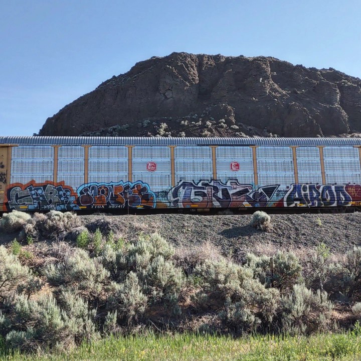 GraffitiExpress's tweet photo. gabr monet airod
#kamloops #train #graffiti #art 
#gabr #monet #airod https://t.co/c6ODhurQ6Z