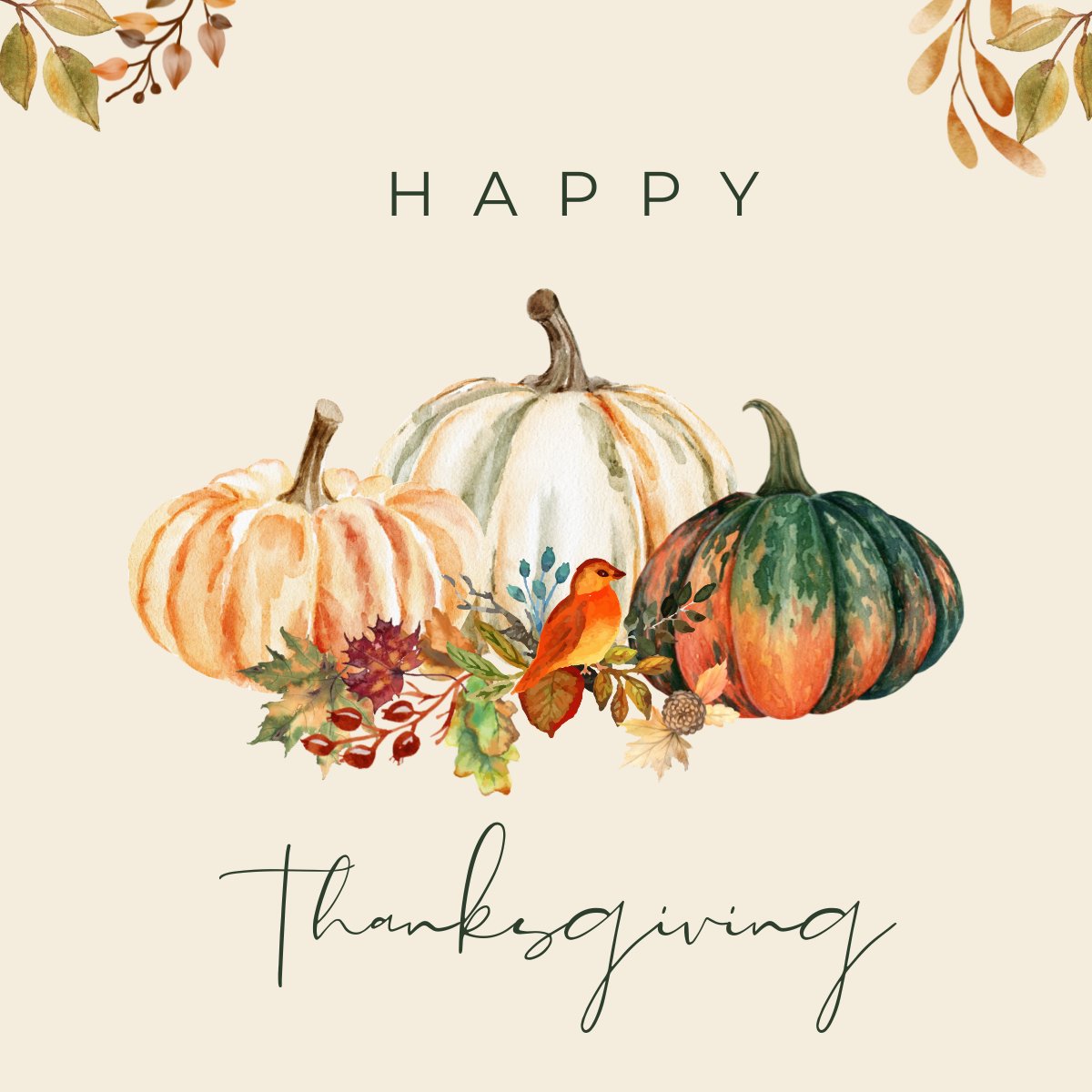 A time that reminds us to be thankful, this quote says it.. "What if, today, we were grateful for everything?" —Charlie Brown. Where ever you are in the World. Take a moment to be grateful today. Happy Thanksgiving from <a href="/ide_group/">IDE Group</a>
