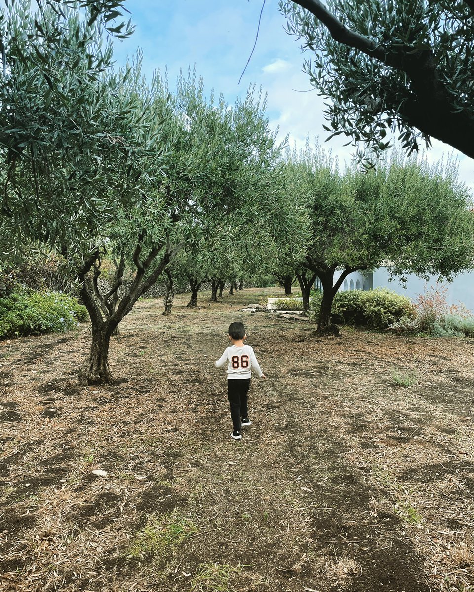 ActonManning's tweet photo. 🏃🏻🫒🌳 86

#happychild #running #carefree 
#naturelovers 
@adidas
@adidasrunning #adidasrunning 
#runninglife #runningworld #iloverunning #runningheroes #runninghappy 
#olives #olivetree #olivegrove 
#freshair #healthylife #familytravel https://t.co/Mex5QdIQBj