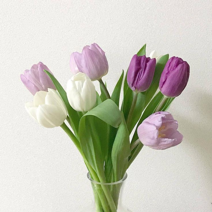 มอนิ่งนะครับคนอ่านขอให้วันนี้มีแต่รอยยิ้มและความสดใส