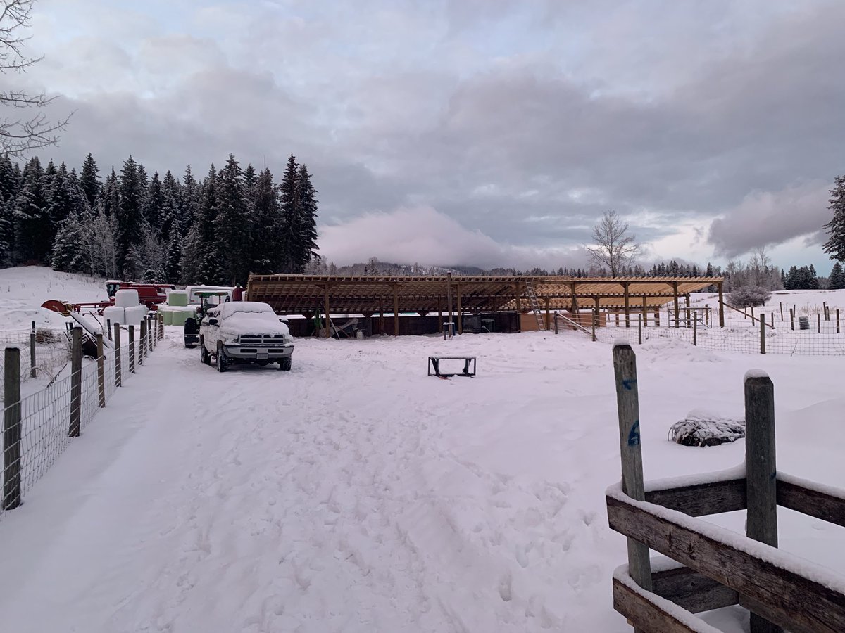 lenbrunner's tweet photo. They say build a sheep pen in the summer. I say to hot out, fall is better. Guess I should have started a month earlier lol. Might get it done tomorrow but doubtful. https://t.co/kO8ge3aXnv