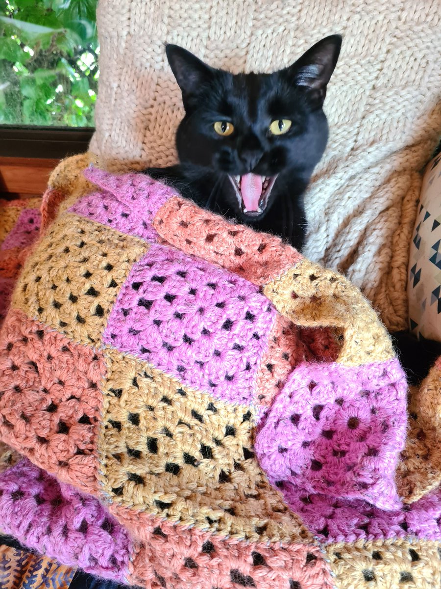 Caught him with his colorful blanket, ruining his goth image