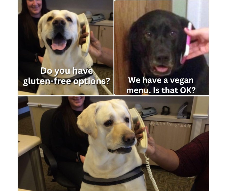 GFGrubbin's tweet photo. #glutenfree #memes2022 https://t.co/BQF8MFotbq