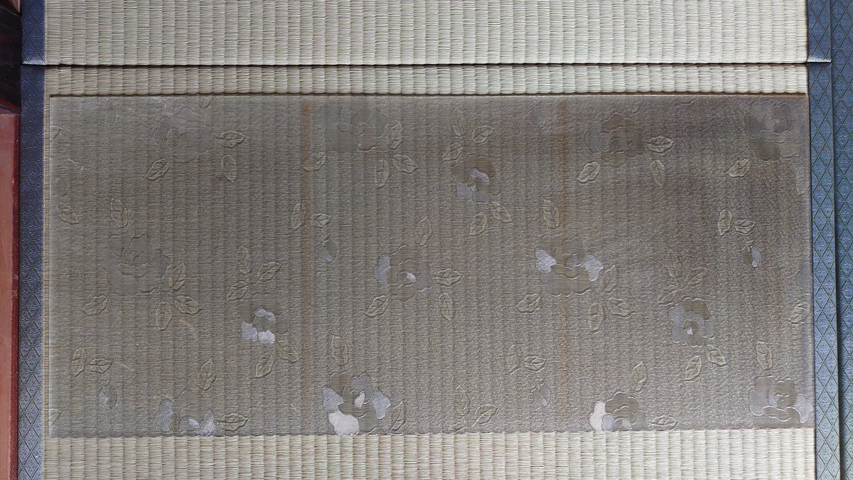 ニーヴァ tweet media