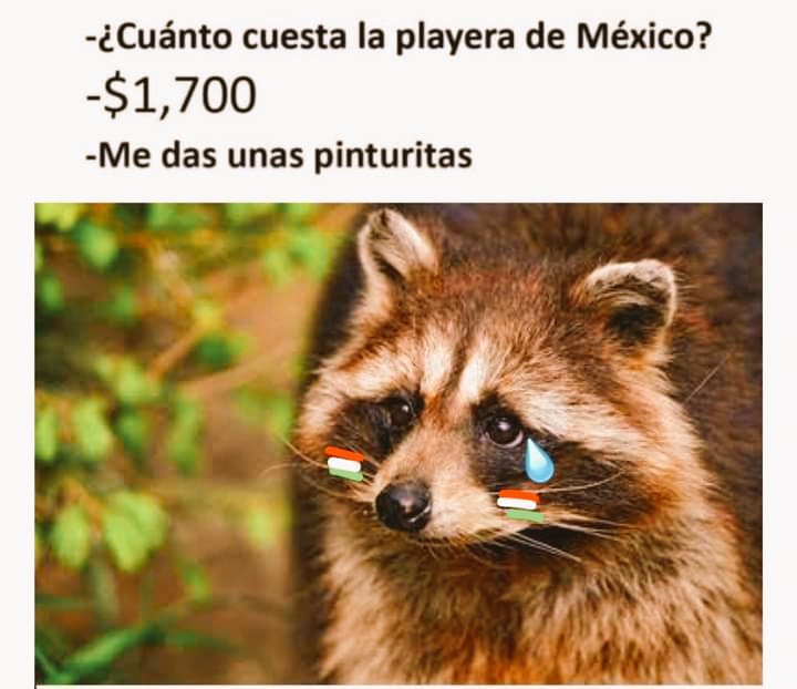SophyEsMa's tweet photo. #MexicoVsArgentina 😀 https://t.co/sjvCTR4CwG