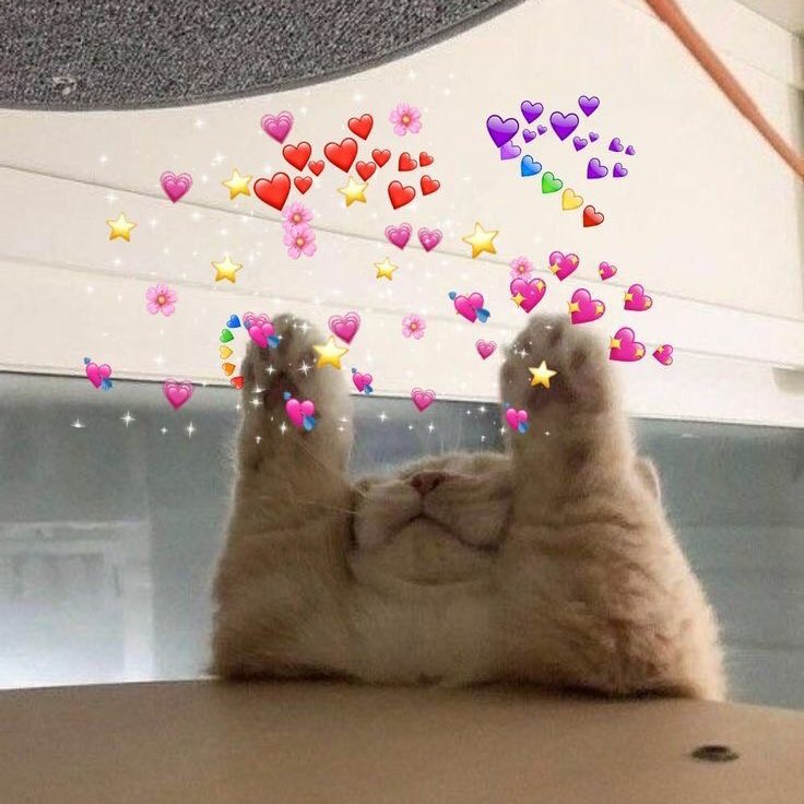 ✑ ; AAH BESTIE THANK YOU BESTIE