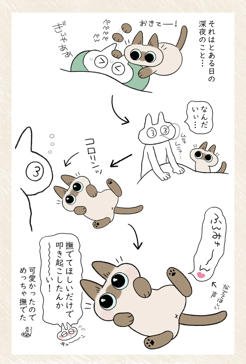 寝ている飼い主を起こした理由は･･･！ある日の深夜にあった出来事を描いた、可愛すぎる猫漫画！