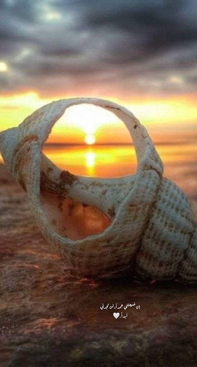 إن ضيعتني عمداً، لن تجدني أبداً.🤍👌🏻