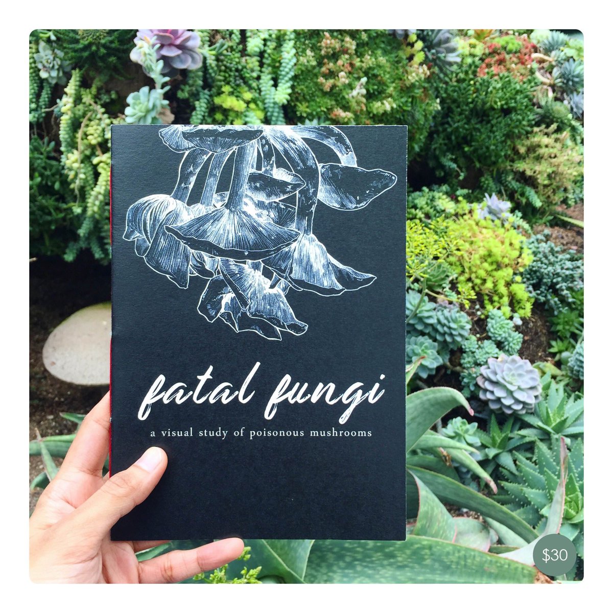 Suha ☘️ スハ @ CF B-G09 tweet media