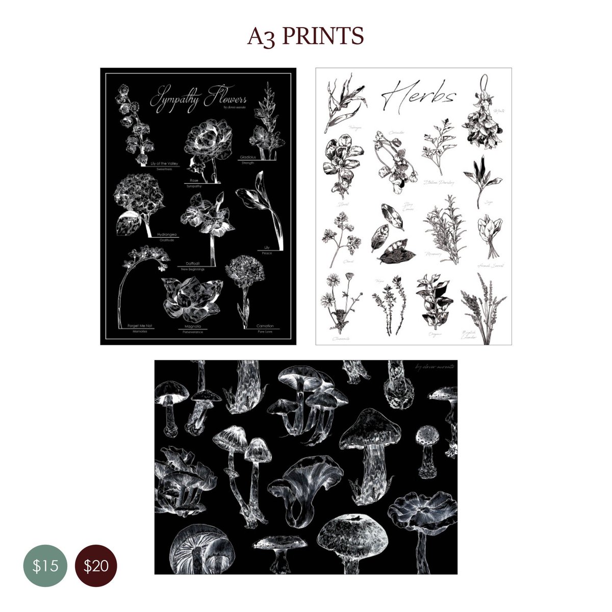 Suha ☘️ スハ @ CF B-G09 tweet media