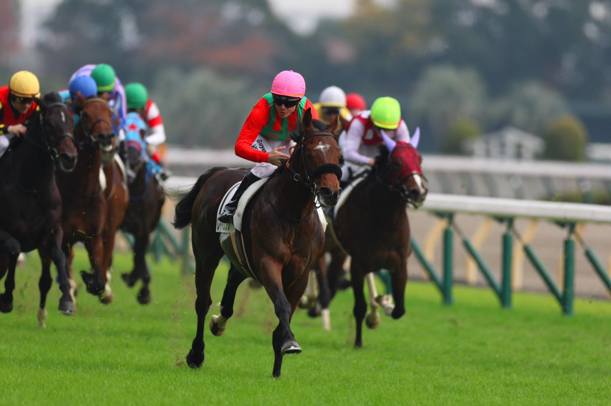 cvt_march's tweet photo. 11.26 東京5R
メイクデビュー芝1600m
1着 #レイべリング
父 #フランケル
#Frankel
母父 #Docksider
騎手 #ギュイヨン
新馬戦でこのガッツポーズ
可愛い https://t.co/5tKYhXM1dq