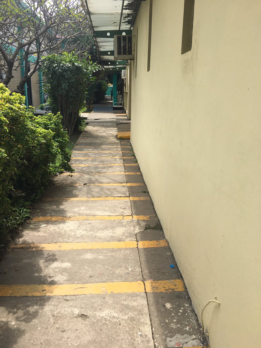 Veracruz Vigila tweet media