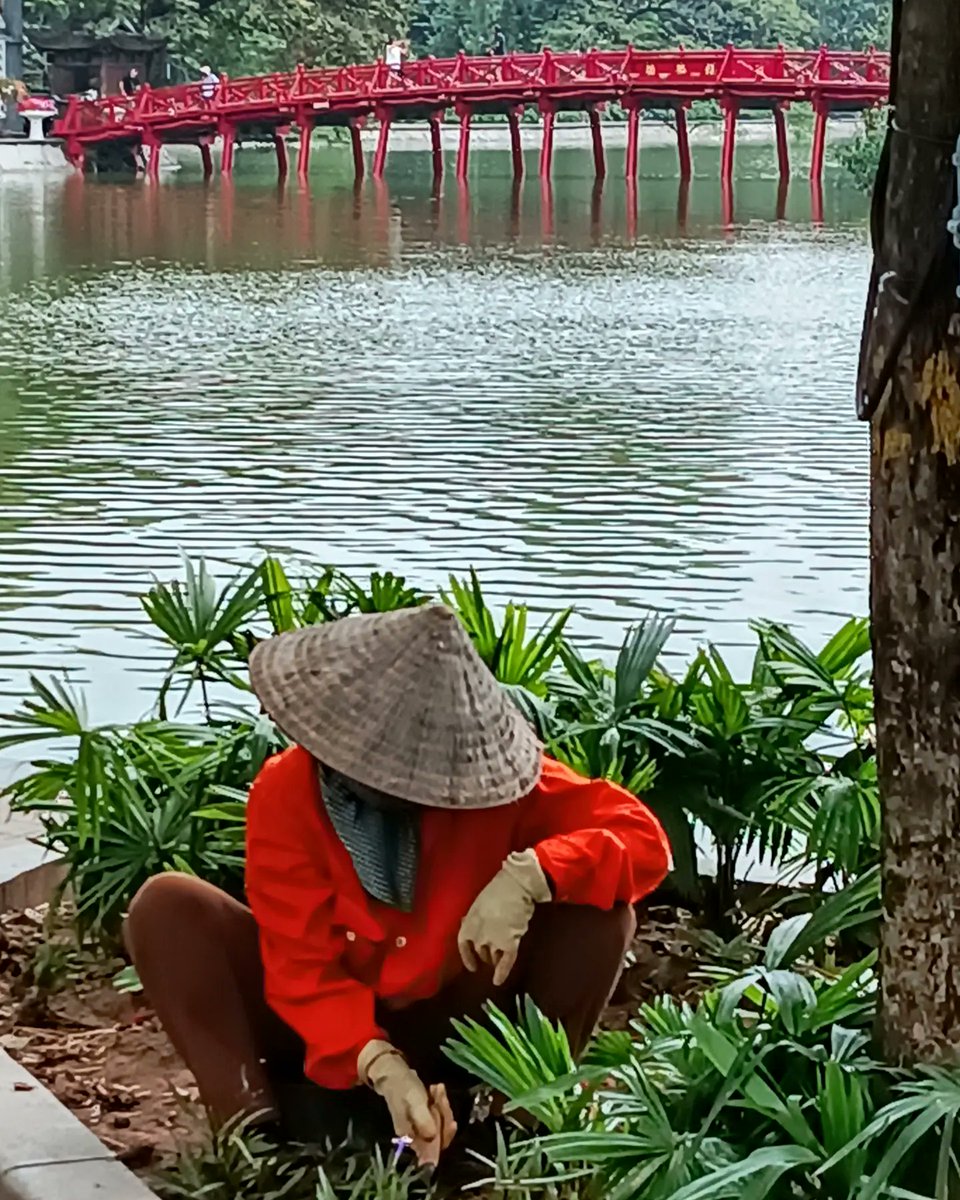 VagaBobTravel's tweet image. #HanoiVibes in the Old Quarter 
.
#ExploreDiscoverExperience
#WanderLust #ExperientialTravel