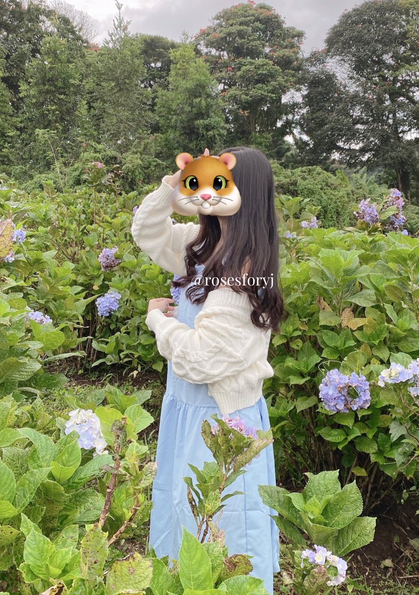 diarimirai's tweet photo. what i wear in the pic :

dress biru : https://t.co/87yok8RdmL bahannya adem parah tapi gak nerawang samsek

cardi : https://t.co/bh4p4phCgJ bahannya tebel bukan cardi yg keliatan “murahan”, super comfy &amp; easy to mix and match sama baju apapun https://t.co/DTf4PmUJuP