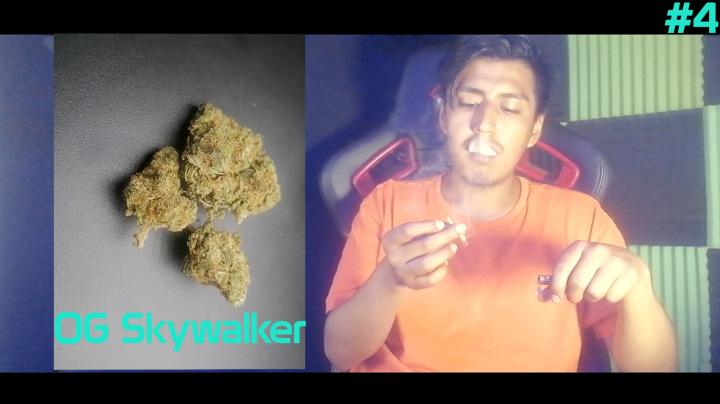 420connoisseur_'s tweet photo. What are your thoughts on #OGSkywalker ??
Incase you haven't had a chance to check my review on the strain

Link is here:

https://t.co/pU9epyFlVw

#weedcontent #smokeup #hotbox #review 
#WeedLife #weedvideo #weedtube #ukgrown #CannabisCommunity https://t.co/lSRweHNog0