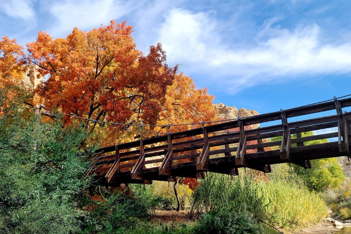 SantizoGroup's tweet photo. Happy Friday, Arizona! 😍

Thanks to Lin Chao for sharing Boyce Thompson Arboretum's gorgeous fall foliage.

(ABC15 Arizona )

#blackfriday #arizona #azlife #azhomes #santizorealtygroup #haguepartners https://t.co/G9R4jNeiZA