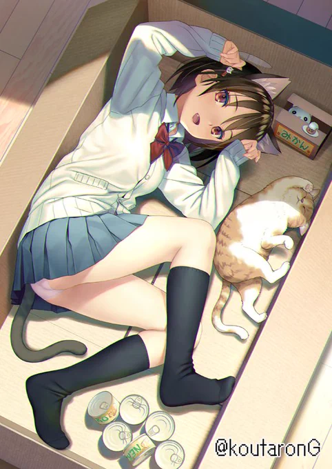 ぺたぺた 動物シリーズ 箱に入るのが好きな猫 