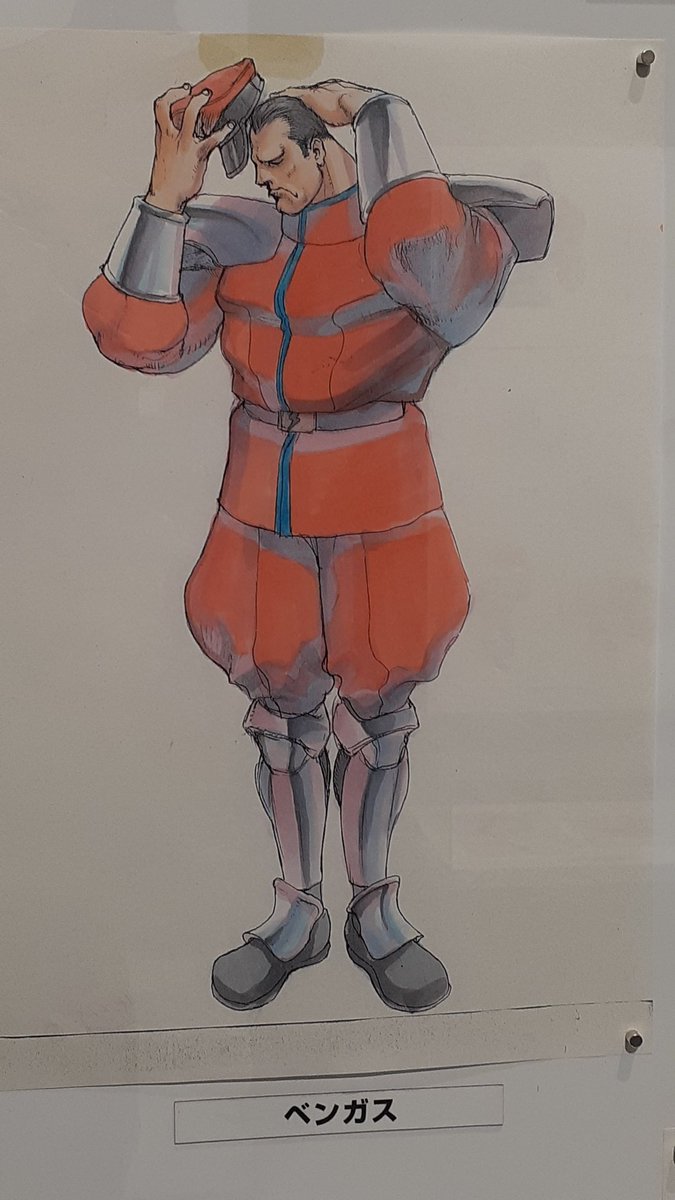 ベガ様も色々
残念ながら親衛隊のイラストなどは無かった 