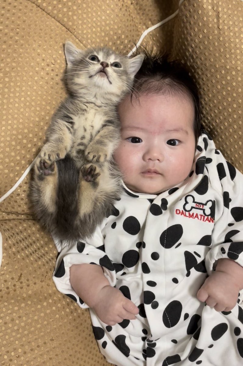 赤ちゃん Twitter Search Twitter