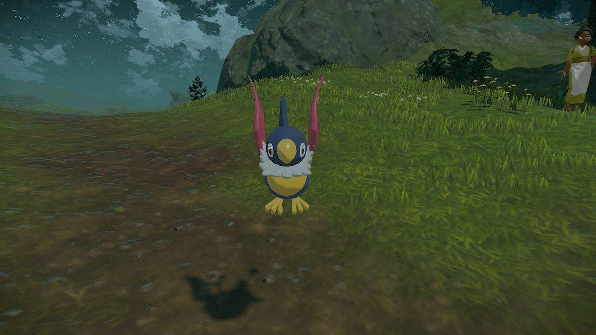 baboiing's tweet photo. FINALLY shiny chatot https://t.co/0aIdN9npFt