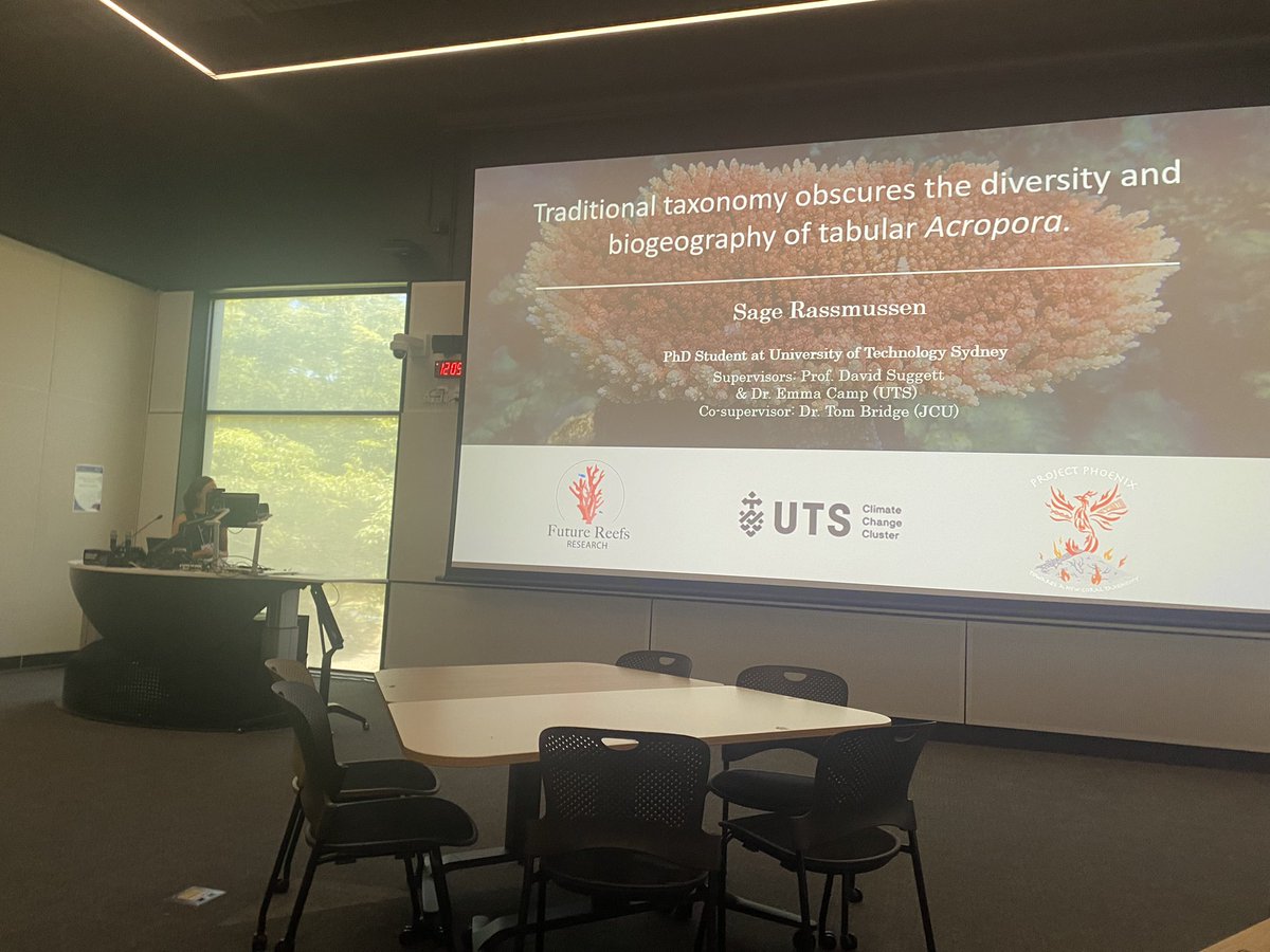 Is it really hyacinthus? 🪸 the answer is not so simple…. Great talk sage!!!