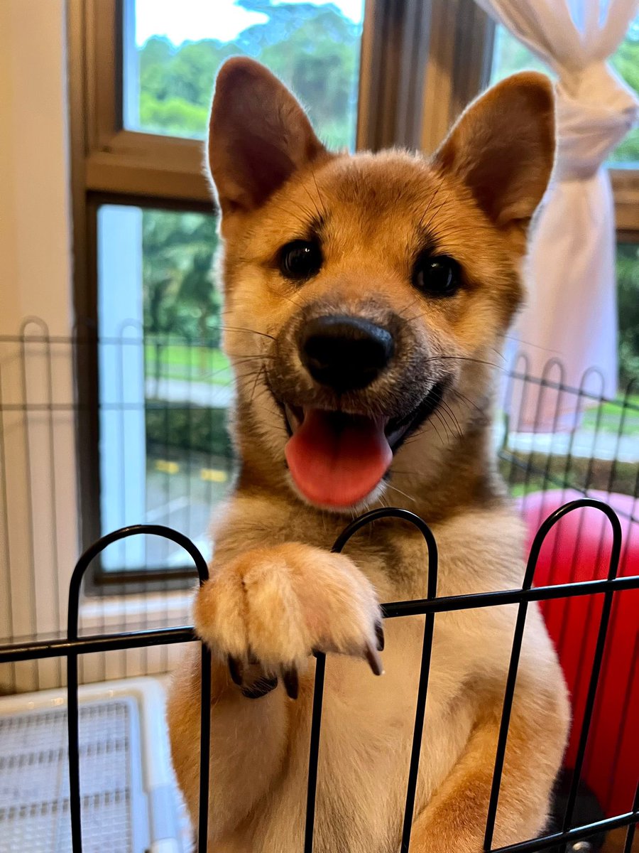 Hello River Ang Bao 👋🏼