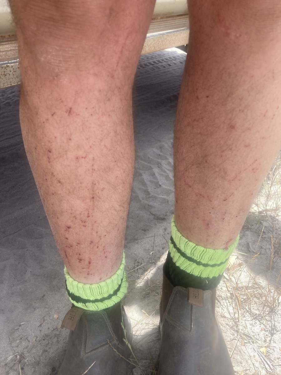 I fix shit. its what i do ! tweet media