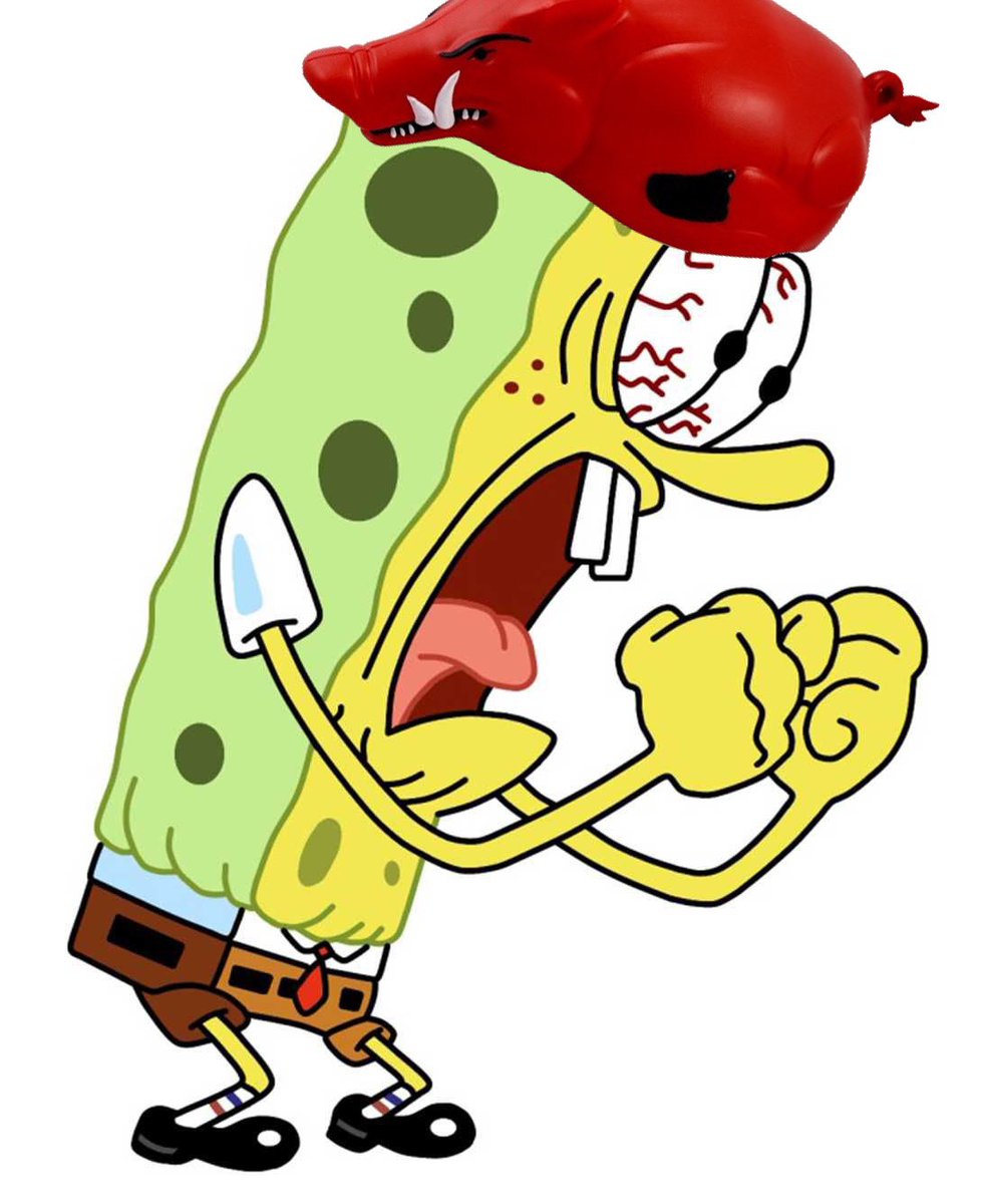 Lost to A&amp;M by 2
Lost to Liberty by 2
Lost to LSU by 3
Lost to Mizzou by 2

13 points are the difference in 10-2 and 6-6. 
ONLY THIRTEEN POINTS MAN. DAMMIT!!