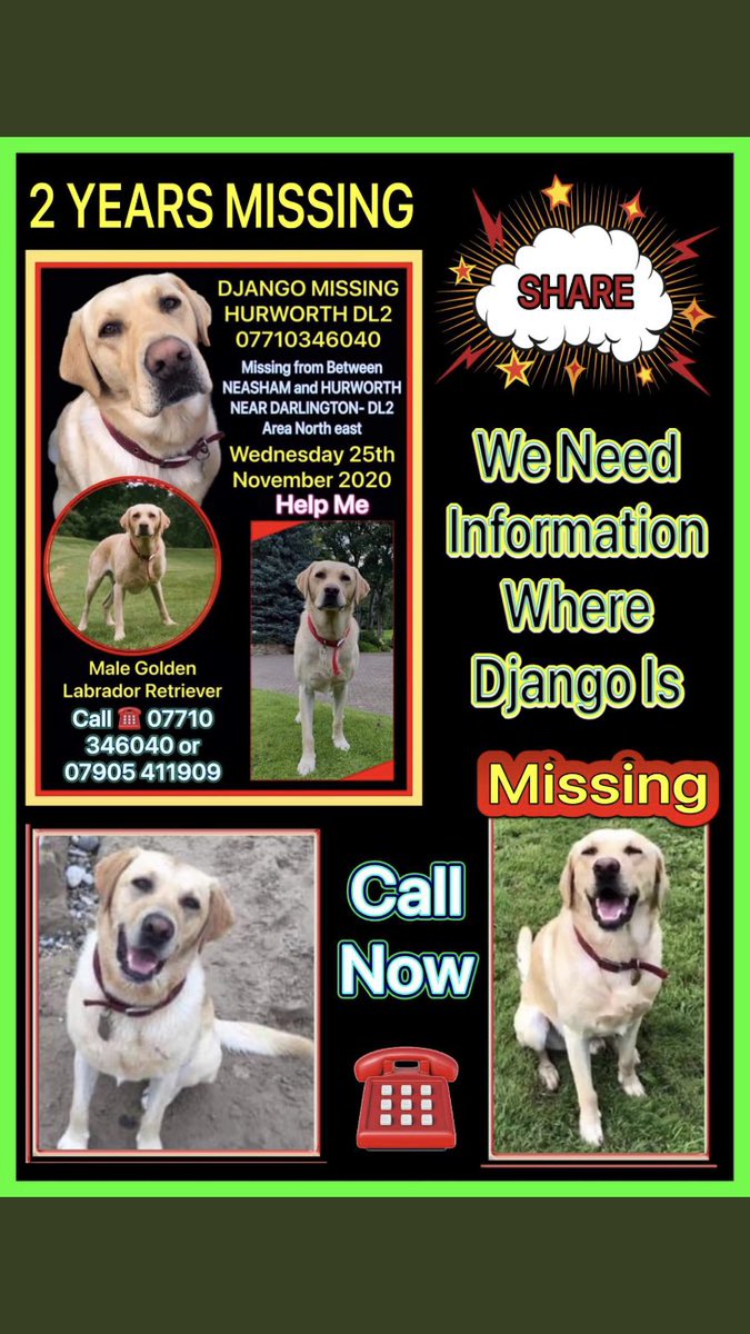 RachaelB100's tweet photo. #findDjango
#LabradorRetriever
Now sadly 2 years #Missing 25/11/2020 From Home
#Hurworth #DL2
#Chipped #ScanThatChip
#Stolen #PetTheft #TheftByFinding
Help Him Home π
#FindDjango https://t.co/YxHnd2mF9a