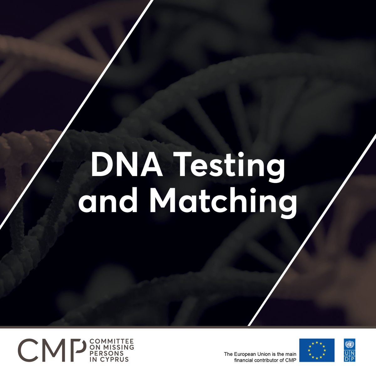 The DNA profile generated from a missing person’s remains is matched with the DNA profiles of the missing person’s relatives which had previously been collected. Read more: cmp-cyprus.org/phase-4-identi…