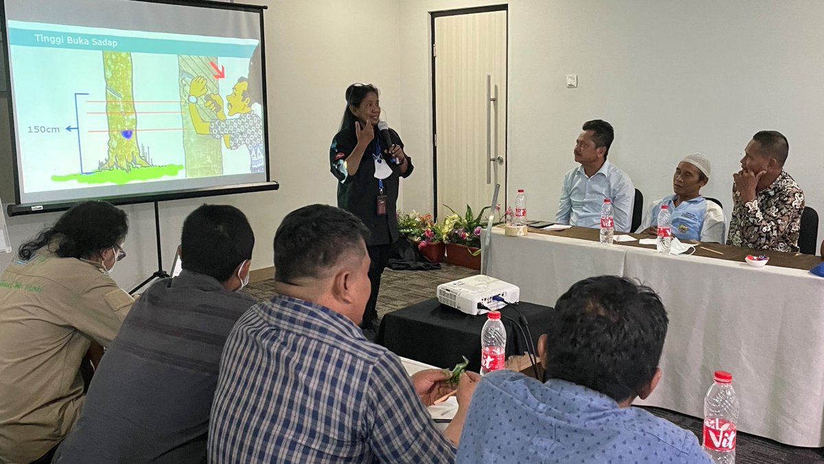 SNVIndonesia's tweet image. This week in #muarojambi, SNV &amp;amp; @rubberplatform trained farmer champions with essential skills &amp;amp; knowledge on rubber #goodagriculturepractices. The training also attended by local extension officers, traders and private sectors committed on #sustainablenaturalrubber production