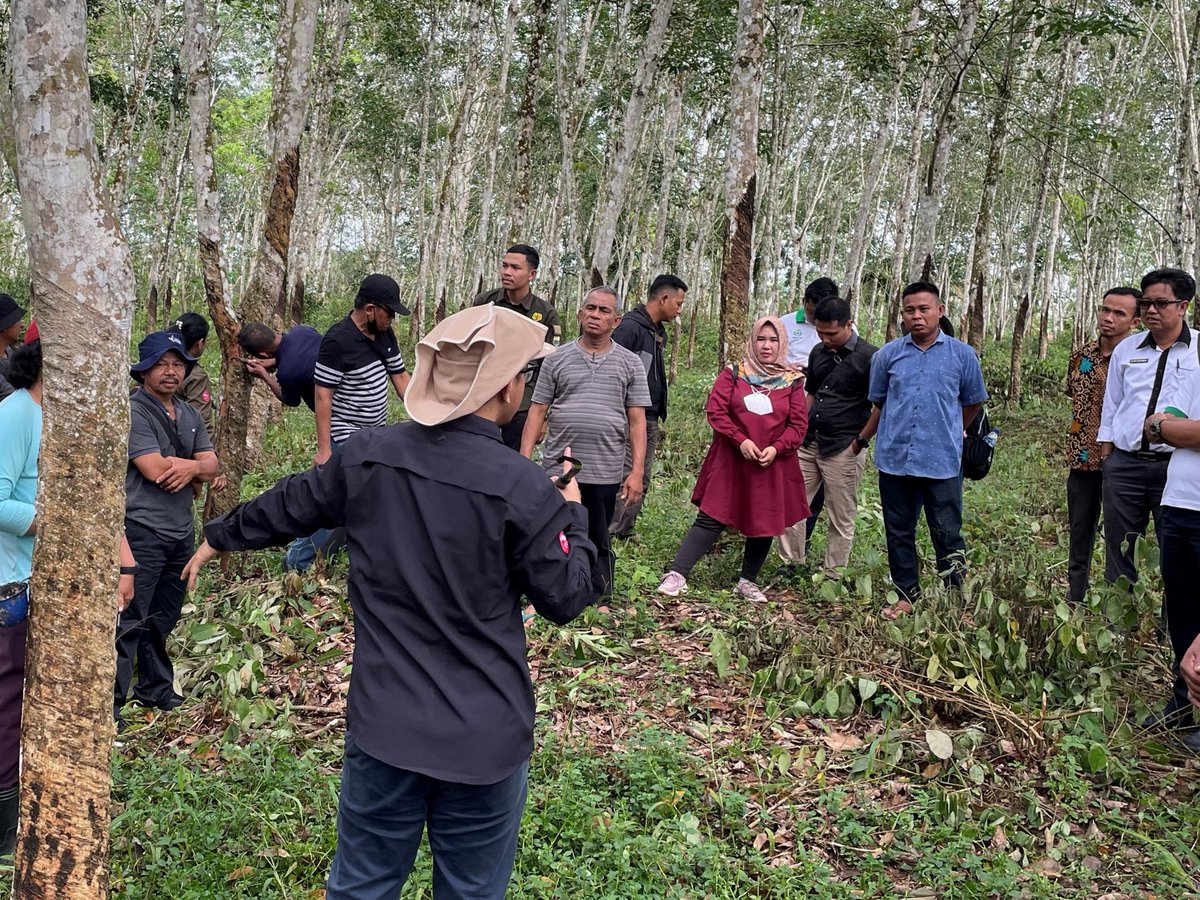 SNVIndonesia's tweet image. This week in #muarojambi, SNV &amp;amp; @rubberplatform trained farmer champions with essential skills &amp;amp; knowledge on rubber #goodagriculturepractices. The training also attended by local extension officers, traders and private sectors committed on #sustainablenaturalrubber production