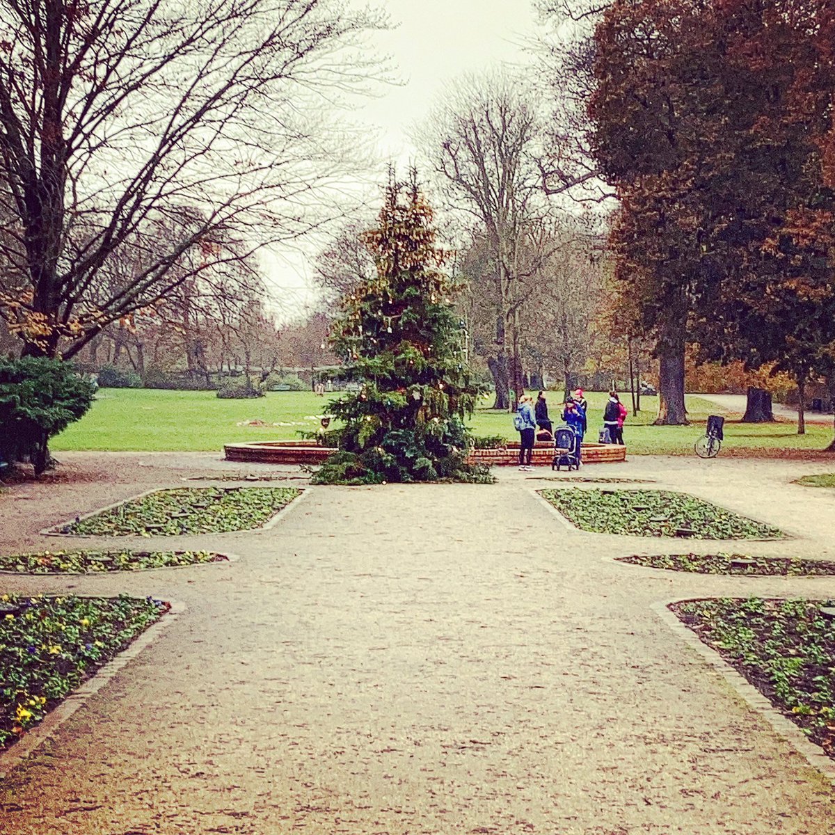 slowberlin's tweet photo. It’s already Christmas in Pankow’s Bürgerpark🎄#berlin #runningberlin https://t.co/BjraBHwdd7